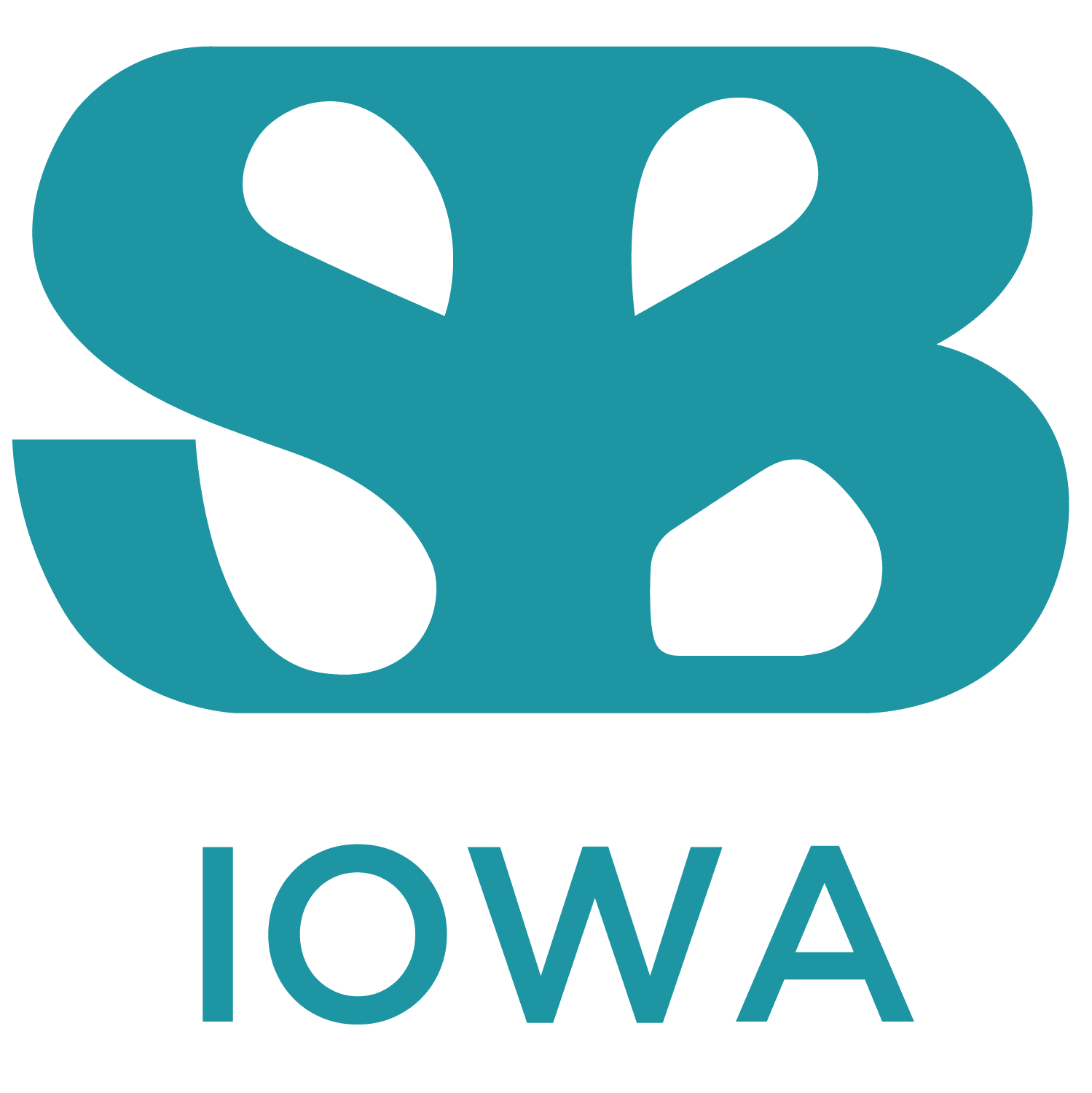 Spina Bifida Association - Iowa