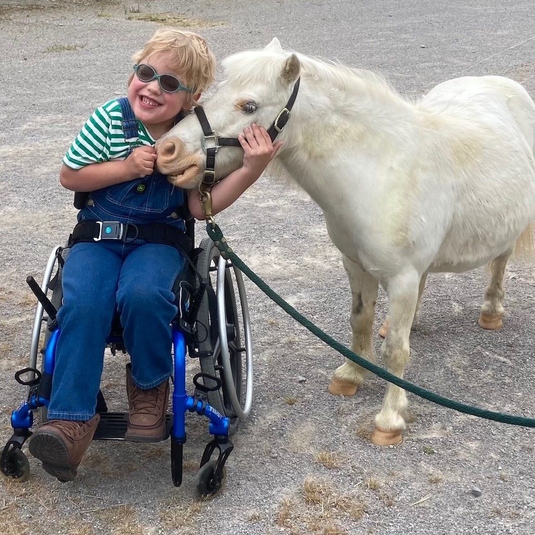 2022 Saddle Up Colt B Hugging Horse